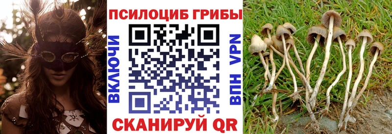 Псилоцибиновые грибы ЛСД  Краснознаменск 